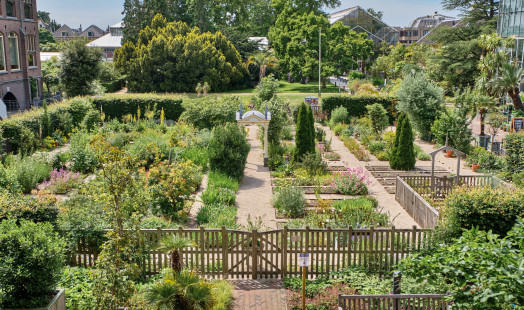 Hortus Leiden